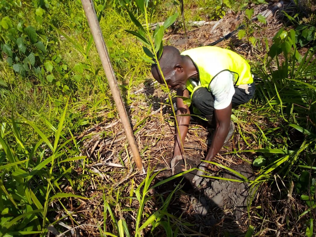 Restoring Degraded Lands