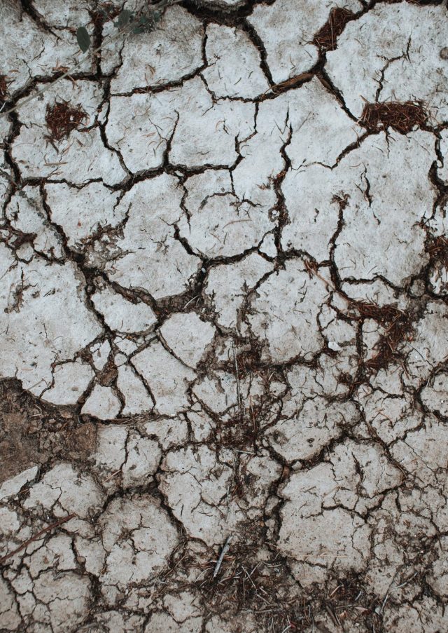 pexels-photo-4577812-4577812 From above closeup of white cracked surface of dry brown ground with parts of died plants